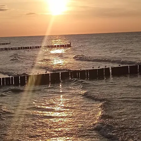 Na Nadmorskiej Alojamento de Turismo Selvagem *